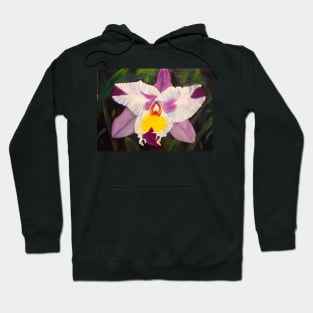 Hawaiian Orchid 1 Hoodie